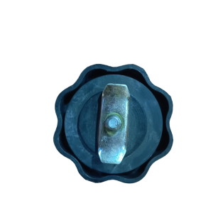 Tapon Deposito Aceite (Renault 4-6-12)