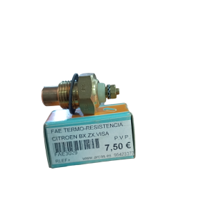 Termo Resistencia. (Citröen BX-ZX-Visa)