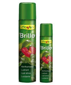 Brillo Planta Natural FLOWER (800 cc.) Para plantas verdes de interior