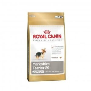 Comida para perros Royal Canin Yorkshire Terrier 29 Junior 0,5 Kg.