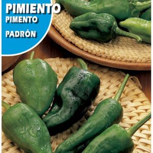 Semillas Pimiento Padron (1 gr)