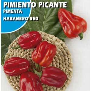 Semillas de Pimiento Picante Habanero Red